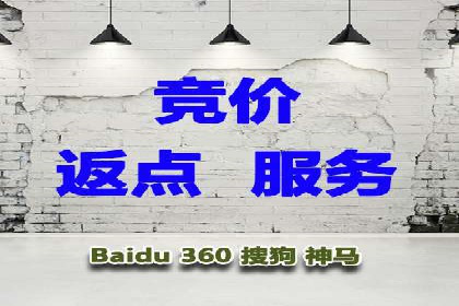 专业SEM代运营公司案例分析